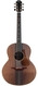 Lowden F50 African Blackwood Sinker Redwood