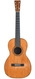 Martin-1-21 12-Fret Parlor 1867-1898