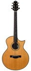 Eichelbaum Grand Auditorium Cutaway Rosewood Spruce Recent