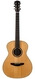 Poljakoff S1 Rosewood Spruce 2016