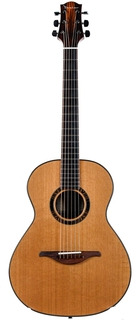 Armin Dreier Concert Cedar Brazilian Rosewood 2015