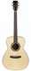 Lakewood M45 Custom Ziricote European Spruce