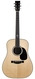 Santa Cruz Tony Rice Dreadnought