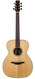 McNally Foundation Series OM12 Mahogany Spruce 2022