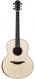 Lowden F50 African Blackwood Adirondack Anniversary Model