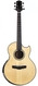 Kevin Ryan Nightingale Grand Soloist Katalox Swiss Moon Spruce 2019