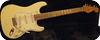 Real Guitars Custom Build S Roadwarrior 2875,- Included SCC Case 2024-Vintage White