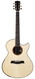 Turnstone Guitars Turnstone TG Ancient Black Oak German Spruce