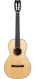 Collings -  Parlor 1T