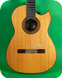 John F Mello Guitar 2003