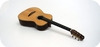 Stoll Guitars Ambition Fingerstyle Sinkerwood/topical Walnut