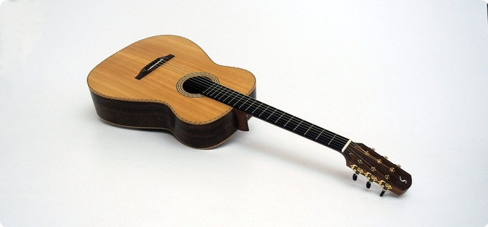 Stoll Guitars Ambition Fingerstyle Sinkerwood/topical Walnut