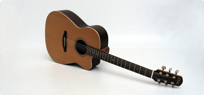 Stoll Guitars Pt69 Rosewood/cedar 