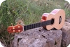 Stoll Guitars-Tamino Tenor Ukulele Plum -2023