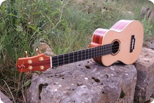 Stoll Guitars-Tamino Tenor Ukulele Plum -2023