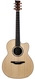 Mcilroy A30c Indian Rosewood Sitka Spruce