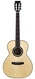 BSG OM46F Spruce African Blackwood 2021