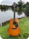 Martin D 18 1969 Natural