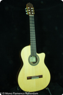 Cashimira 130c Palosanto Thinline Cutaway