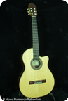 Cashimira-130C Palosanto Thinline Cutaway