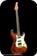 Dick Dijkman Stratocaster