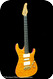 Zion Stratocaster