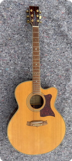 Tanglewood Tw55 2010 Natural