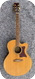 Tanglewood TW55 2010-Natural