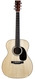 Martin -  00028 Cocobolo Adirondack Customshop 2023