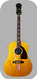 Epiphone-Limited Edition Paul McCartney Aged Texan Acoustic-2005