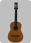 C. F. Martin & Co-N-20WN Willie Nelson Limited Signature Edition-1998