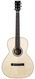 BSG 0027F Rosewood Spruce