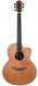 Lowden-F35RT Richard Thompson Signature Cedar Ziricote-2019