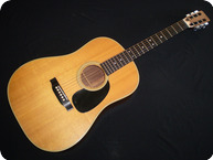 Martin D28S 1972 Natural