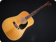 Martin D28 1976