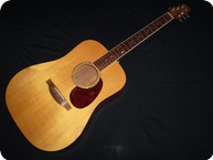 Bourgeois Dreadnought 1994 Natural