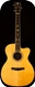 C. F. Martin & Co 000C-28 Andy Summers Signature Edition 2007