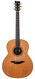 Mcilroy A55 Ziricote Western Red Cedar 2009