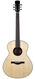 Dion-Guitars No. 4 Italian Spruce Figured Mahogany