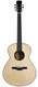 Dion-Guitars No. 4 Italian Spruce Cocobolo