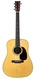 Martin -  D28 TFOA 20th Ann LTD Adirondack 2021