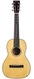 Martin Custom Shop Size 5-18 Mahogany Spruce