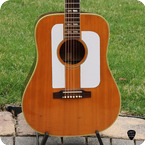 Gibson FJN 1963