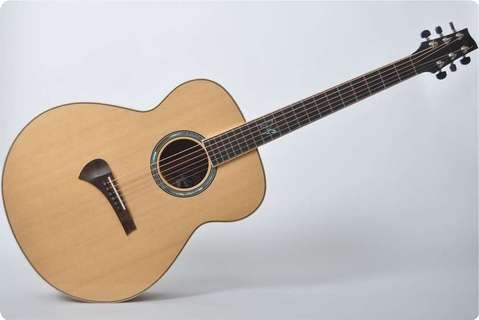 Sanden Guitars Jrb (made To Order)