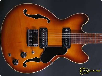 Hoyer Es335  1967 Sunburst