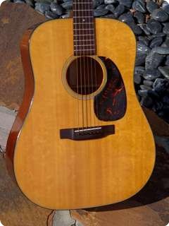 Martin D 18 Tortoise'bound 1966