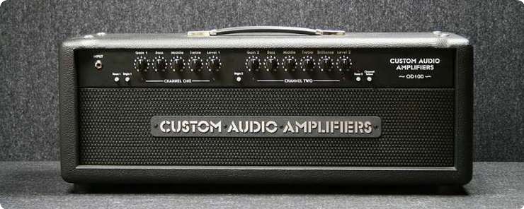 Custom Audio Amplifiers OD100用コンボキャビ 【予約販売】本