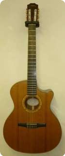 Taylor Ns74 Ce Natural