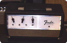 Fender Echo Reverb ECHO UNIT Tel Ray 1968