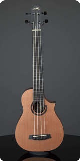 Stevens Custom Guitars Bass Ukuele